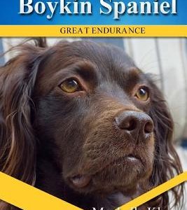 Boykin Spaniels: Divine Dogs Online