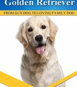 Golden Retrievers: Divine Dogs Online