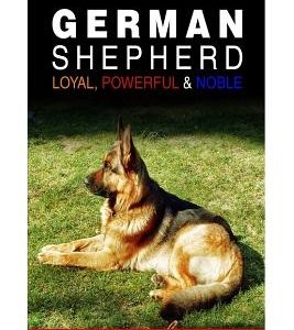 German Shepherd: Loyal, Powerful & Noble
