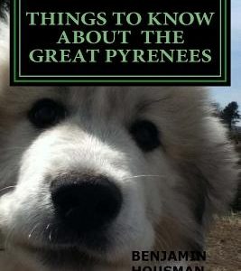 Things to Know About the Great Pyrenees