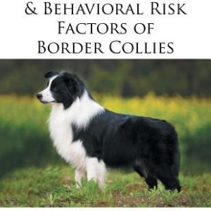 Medical, Genetic & Behavioral Risk Factors of Border Collies