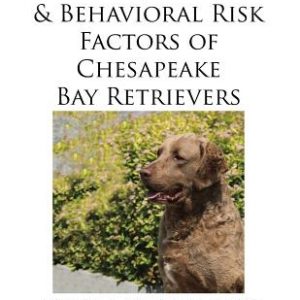 Medical, Genetic & Behavioral Risk Factors of Chesapeake Bay Retrievers