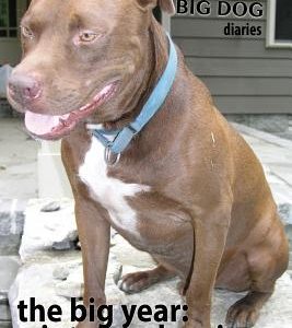 The Big Year - Winter and Spring