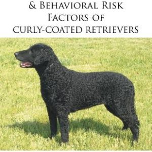 Medical, Genetic & Behavioral Risk Factors of Curly-Coated Retrievers