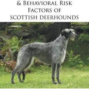 Medical, Genetic & Behavioral Risk Factors of Scottish Deerhounds