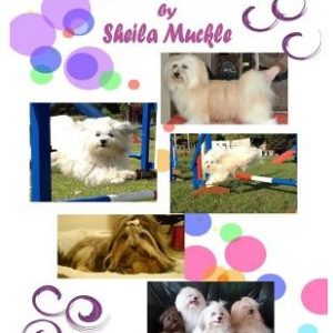 Havanese Heroes: The Adventures of Five Little Dogs