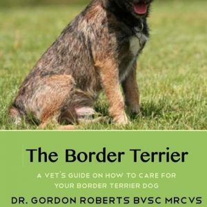 The Border Terrier: A vet's guide on how to care for your Border Terrier dog