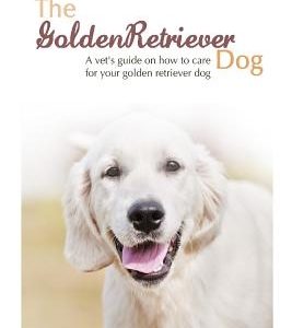 The Golden Retriever: A vet's guide on how to care for your Golden Retriever dog