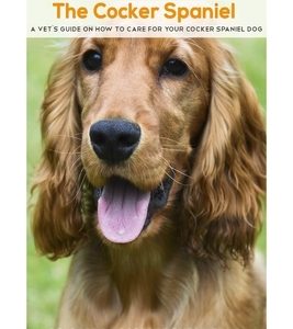 The Cocker Spaniel: A Vet's Guide on How to Care for your Cocker Spaniel Dog