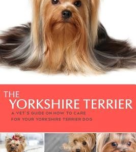 The Yorkshire Terrier: A vet's guide on how to care for your Yorkshire Terrier dog