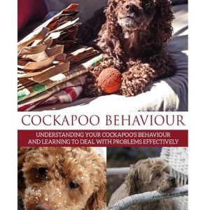 Cockapoo Behaviour: Understanding your Cockapoo's Behaviour and Learning to Deal with Problems Effectively