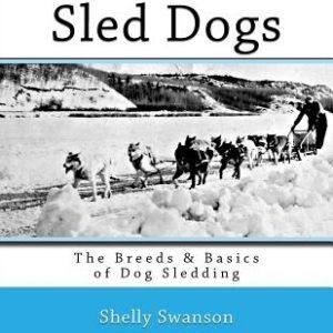 Sled Dogs: The Breeds & Basics of Dog Sledding