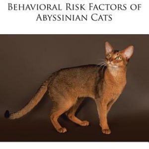 Medical, Genetic & Behavioral Risk Factors of Abyssinian Cats