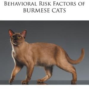 Medical, Genetic & Behavioral Risk Factors of Burmese Cats