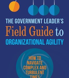 The Government Leader's Field Guide to Organizational Agility: How to Navigate Complex and Turbulent Times