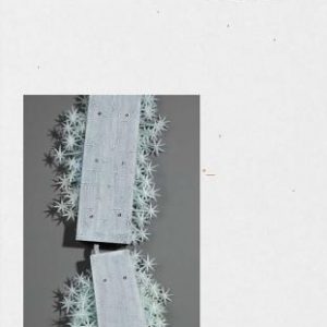 The Jewelry of Ideas: The Susan Grant Lewin Collection