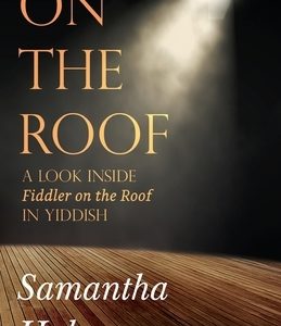On The Roof: A look inside Fiddler on the Roof in Yiddish