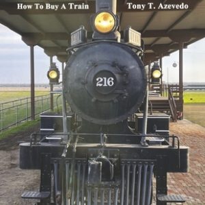 A Diamond in the Rough: How to Buy a Train