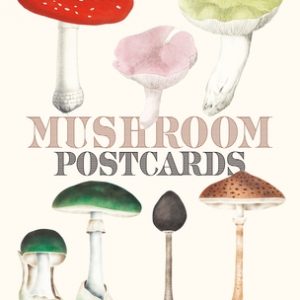 Mushroom Postcards