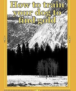 How to train your dog to find gold: training your dog to find precious metals