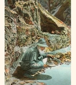 The Vintage Journal Old Prospector Panning for Gold