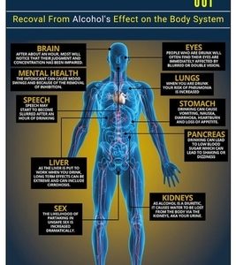 Knock Alcoholism Out: Easy way to control and stop drinking, and Recovery of the body system from alcohol's Effects.