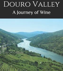 A Tour of the Douro Valley: A Journey of Wine