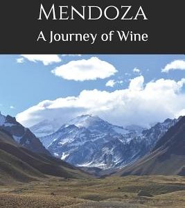 A Tour of Mendoza: A Journey of Wine