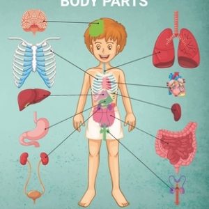 Easy Way To Learn Human Body Parts Anatomy Coloring Book: Easy Way To LearnAnatomy For Kids An Entertaining and Human Body - Bones, Muscles, Blood, Ne