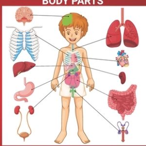 Easy Way To Learn Human Body Parts Anatomy Coloring Book: Human Body Parts Coloring Book, Anatomy Workbook For Kids, Great Gift For Boys & Girls, 4-8