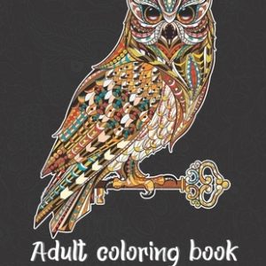 Adult Coloring Book: Stress Relieving Designs to Color, Relax and Unwind (Coloring Books for Adults)