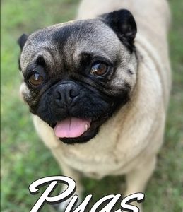 Pugs Photo Book for Writing and Note Taking: Writing Pad with Pug Pictures, Dog Lover Gifts